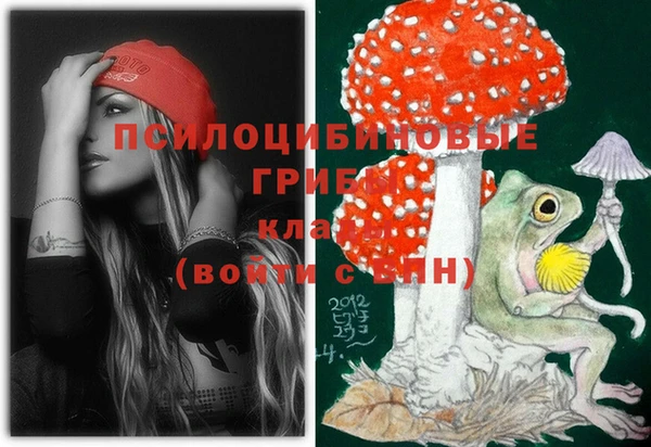 каннабис Аркадак